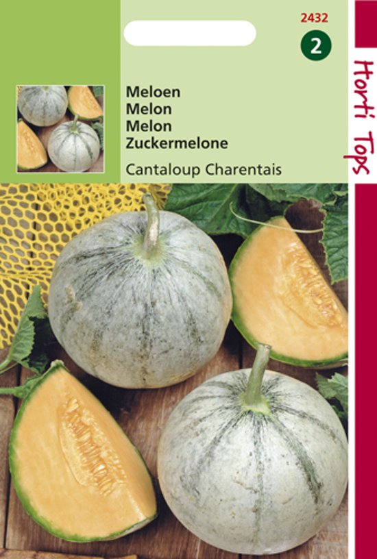 Melon cantaloup Charentais (Cucumis melo) 30 seeds HT